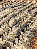 ปลาตากแห้ง Dried Fish