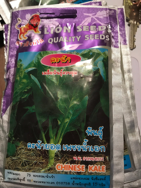 เมล็ดคะน้า Chinese Kale seeds