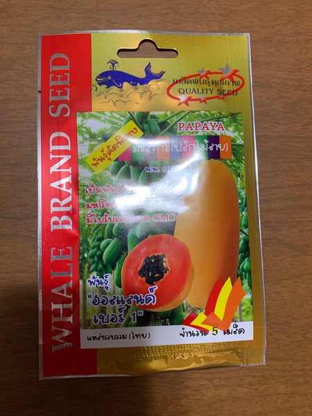 เมล็ดมะละกอฮอลแลนด์ Papaya seeds